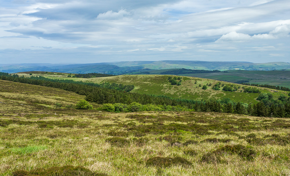 Foxlow Edge Foxlow Edge